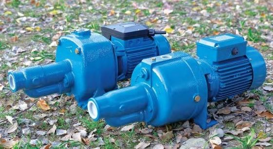 Mini Elektrikli Su Pompası Vorteks Paslanmaz Çelik Jet Pompası Yüksek Basınç
